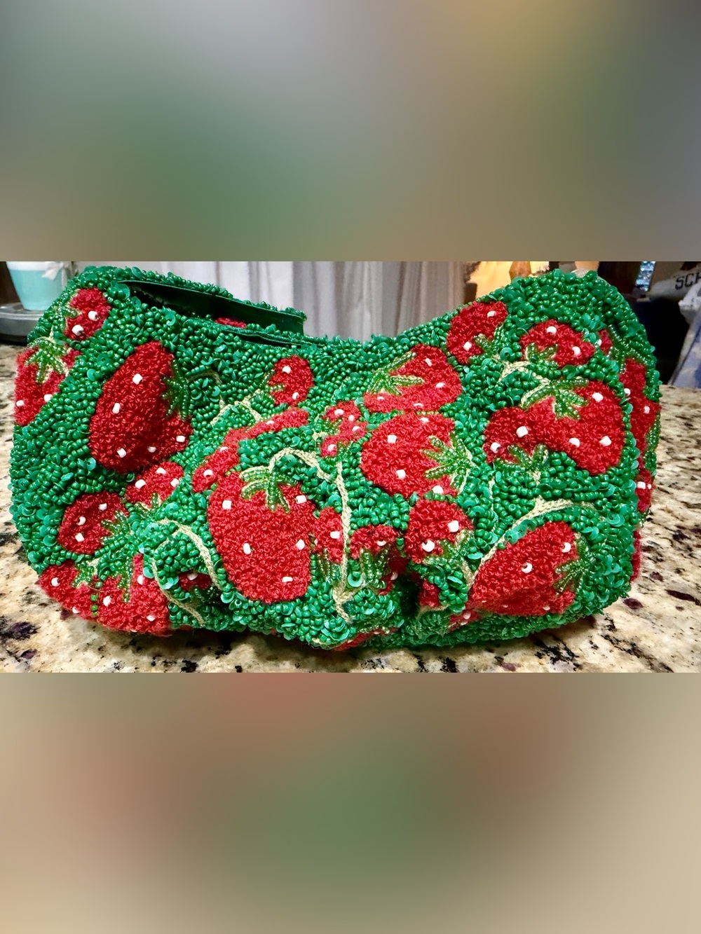 NWT Viral Sol & Mer Beaded Strawberry Hobo Bag Clutch Red Fruit Garden Purse